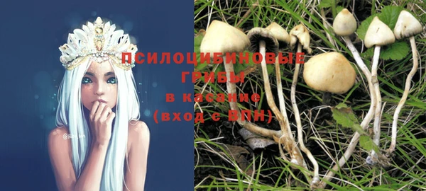 гидропоника Богданович