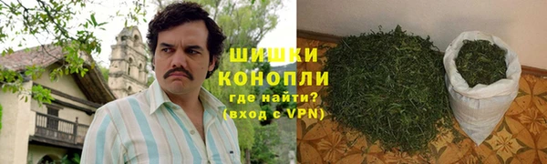 гидропоника Богданович